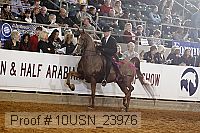 10usn_23976 thumbnail