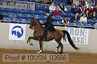 10usn_02666 thumbnail