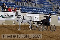 10usn_15509 thumbnail