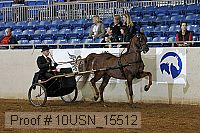 10usn_15512 thumbnail