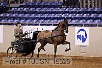 10usn_15525 thumbnail