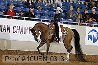 10usn_03131 thumbnail