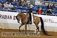 10usn_03132 thumbnail