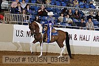 10usn_03184 thumbnail