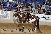10usn_10972 thumbnail