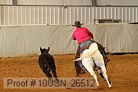 10usn_26512 thumbnail