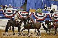 10usn_21106 thumbnail