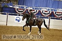 10usn_21108 thumbnail