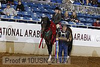 10usn_21121 thumbnail