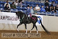 10usn_21145 thumbnail