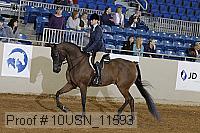 10usn_11593 thumbnail
