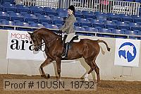 10usn_18732 thumbnail