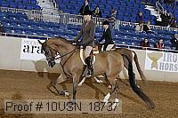 10usn_18737 thumbnail