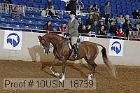 10usn_18739 thumbnail