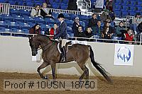 10usn_18750 thumbnail