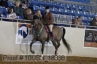 10usn_18838 thumbnail