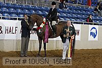10usn_15640 thumbnail