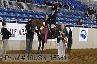 10usn_15641 thumbnail