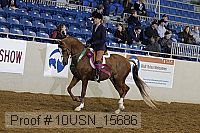 10usn_15686 thumbnail