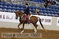 10usn_15687 thumbnail