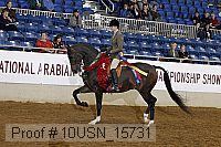 10usn_15731 thumbnail