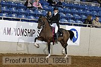 10usn_18561 thumbnail