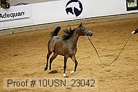 10usn_23042 thumbnail