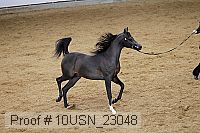 10usn_23048 thumbnail