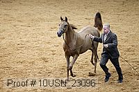 10usn_23096 thumbnail