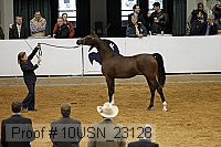 10usn_23128 thumbnail