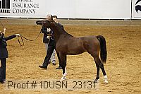 10usn_23131 thumbnail
