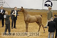 10usn_23134 thumbnail