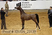 10usn_23139 thumbnail