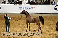 10usn_23144 thumbnail