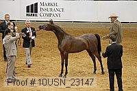 10usn_23147 thumbnail