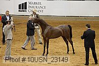 10usn_23149 thumbnail