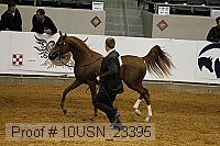 10usn_23395 thumbnail