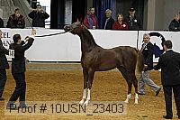10usn_23403 thumbnail