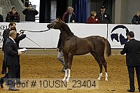 10usn_23404 thumbnail