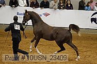 10usn_23409 thumbnail
