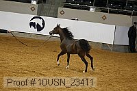 10usn_23411 thumbnail