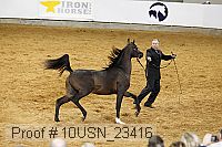 10usn_23416 thumbnail