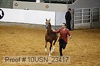 10usn_23417 thumbnail