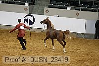 10usn_23419 thumbnail
