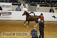 10usn_23421 thumbnail