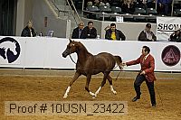 10usn_23422 thumbnail