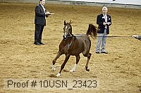 10usn_23423 thumbnail