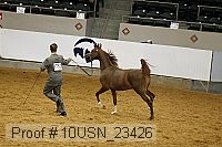 10usn_23426 thumbnail