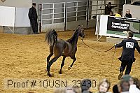 10usn_23430 thumbnail