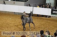 10usn_23433 thumbnail